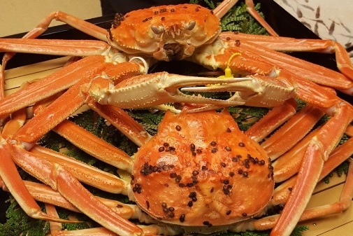 福井市の時計買取店5選