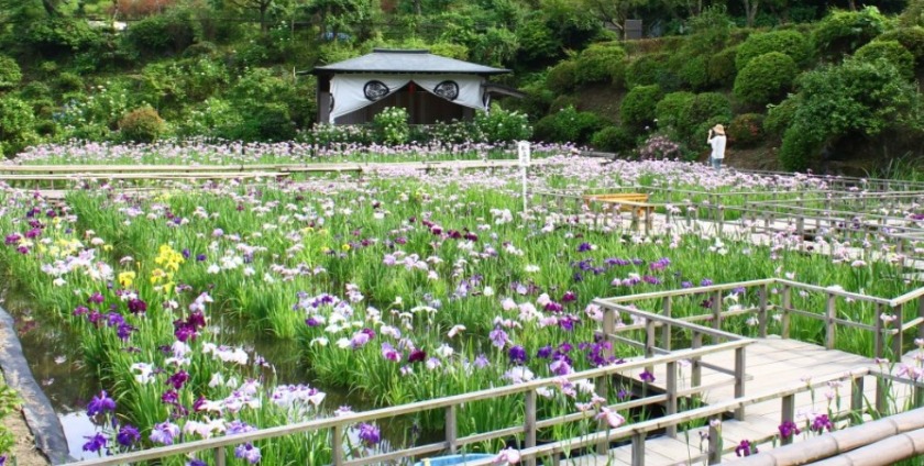 福井市の時計店：宝石時計メガネのイガラシの特徴・品揃え