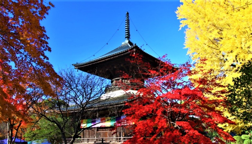 足利市の時計店：ジュエルカフェ アシコタウンあしかが店の買取実績