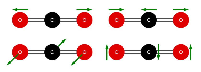 カーボンベゼルの新しい表情