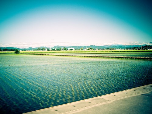 栃木県那須烏山市の時計店は地域密着型のお店が複数あり