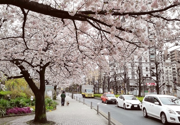 蒲田の時計店は親切な店舗が多い