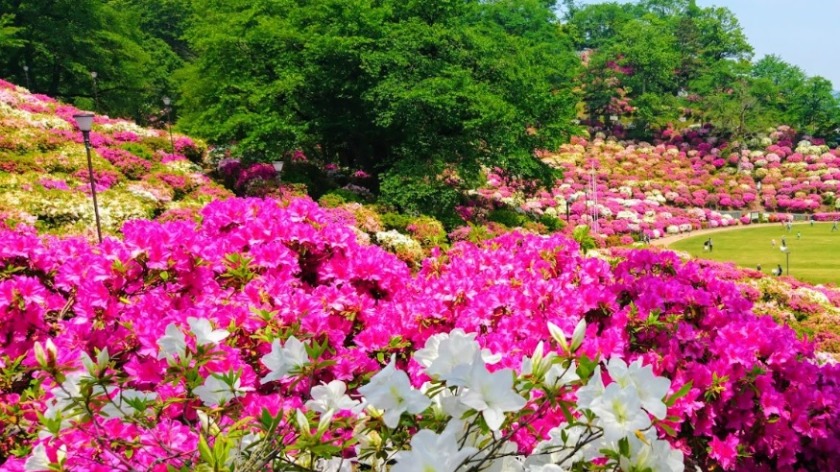 鯖江市の時計店：レイナ宝石時計のメニュー・料金