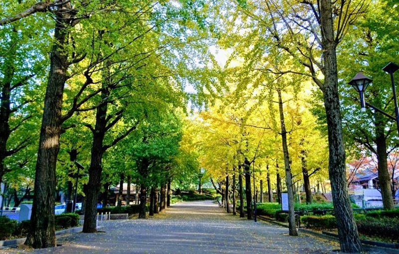 板橋の時計店は駅前に修理店が多くアクセス良し