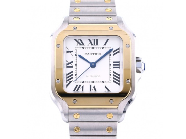 サントス100 LM W2SA0007