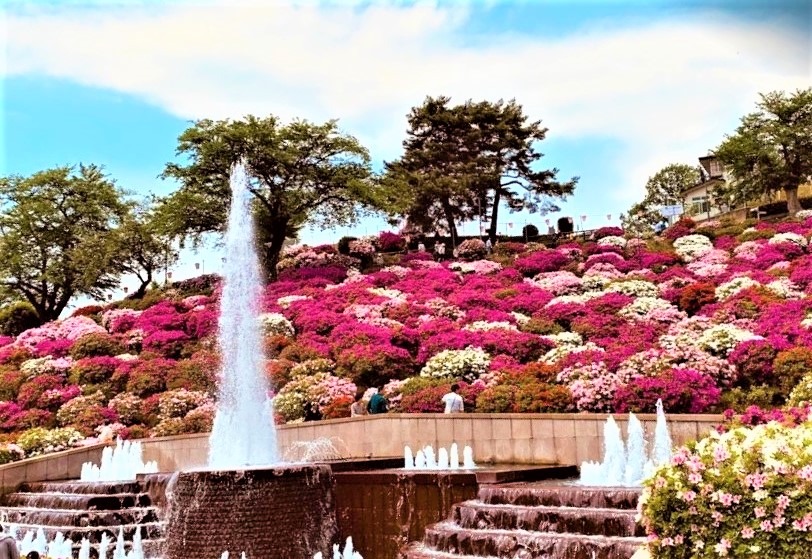 鯖江市の時計店：買取・番長の買取実績