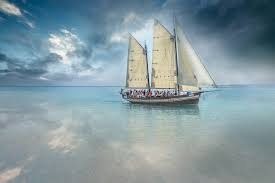 CORLSD.796.004の特徴・機能