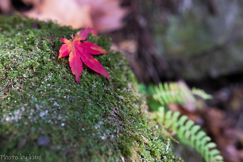 高萩市の時計店4選！電池交換や修理、買取販売のおすすめ店