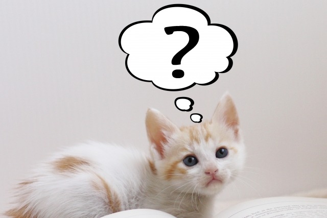 INVICTA(インビクタ)はどんな腕時計？