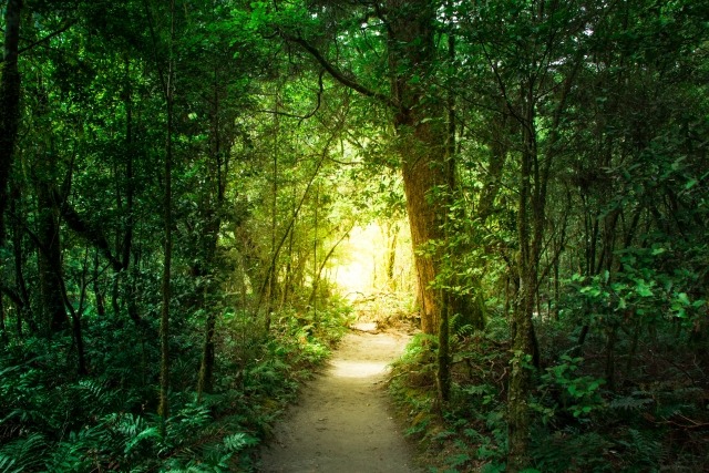 SARB017の特徴・機能