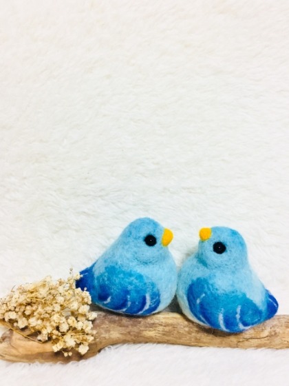 チプカシの中でも高級感がある