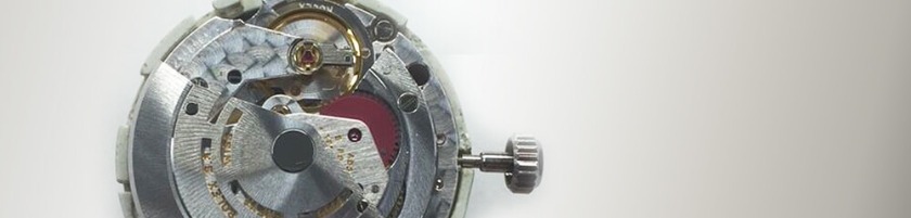 保証内容の充実