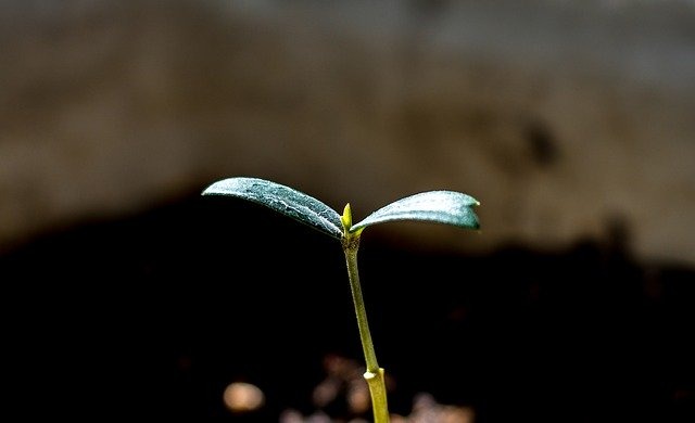 特徴3:電池交換が必要ない