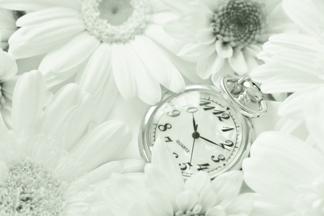 周南市の時計店：カシワ時計店の特徴・品揃え