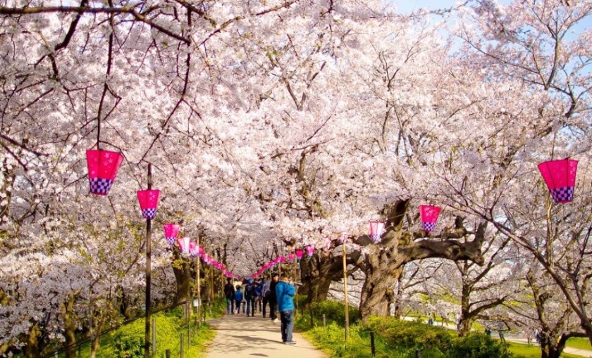 赤羽の電池交換・時計修理店 比較一覧表