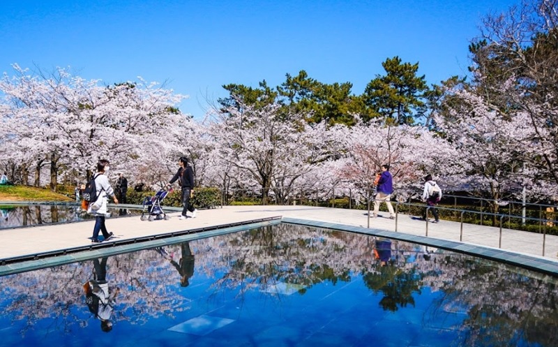 新潟市中央区の時計販売店8選