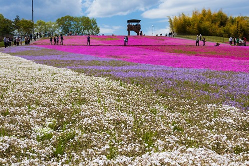 市貝町の時計店3選！電池交換や修理、販売のおすすめ店