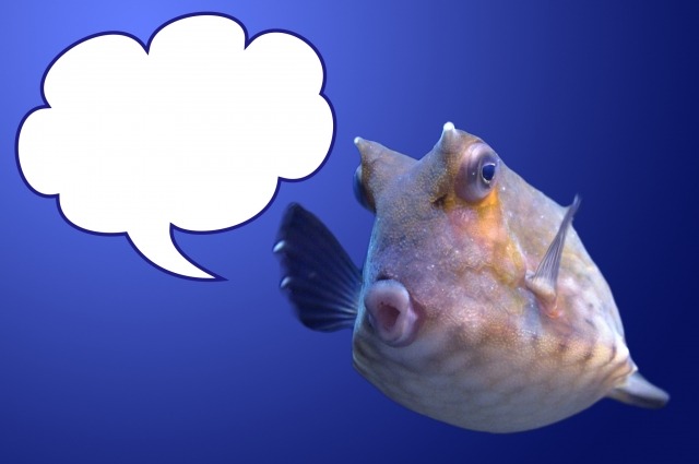 NIXON THE 51-30 CHRONO A0831255＆A0371255の口コミ