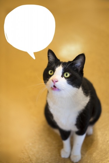 Xiaomi　MiSmartBand4の口コミ