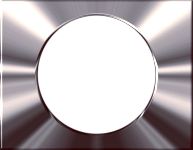 ロレックス+ステンレススチール+プラチナを表す