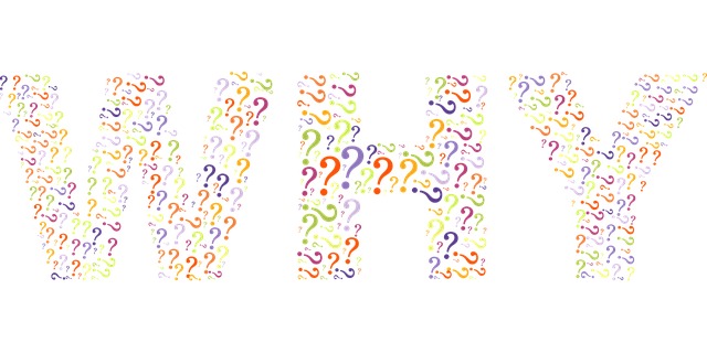 ダサいという評価は？