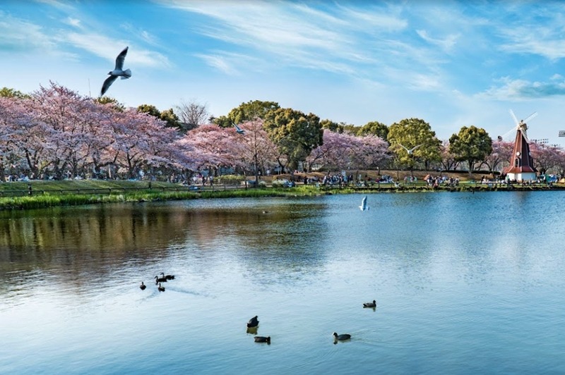 板橋の時計買取店3選