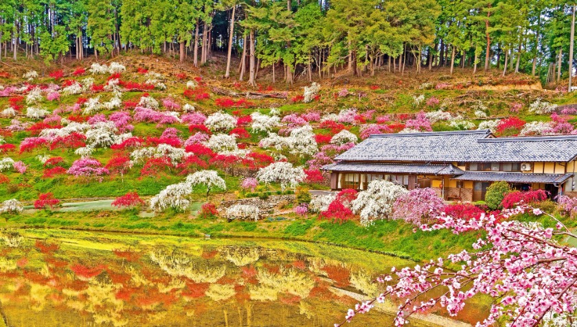 恵那市の時計店！電池交換や修理、買取販売のおすすめ店