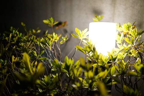 11Apple Watchのライト機能