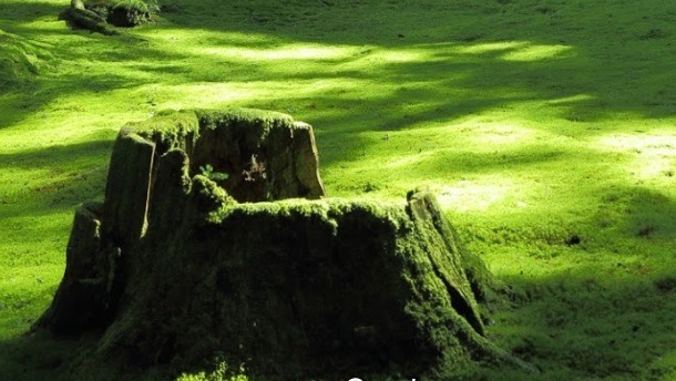 鯖江市の電池交換・時計修理店2選