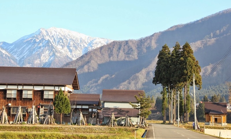 南魚沼市の時計店は個性的な店もあり充実