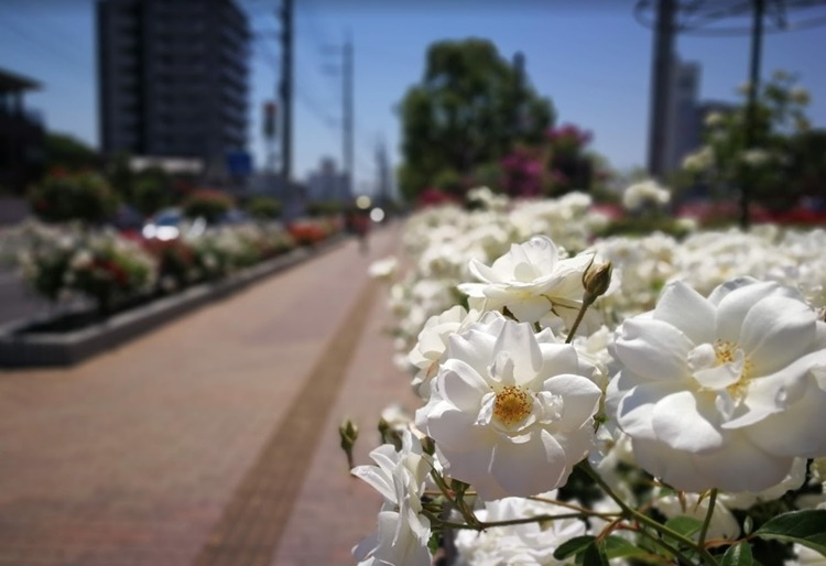 福山市の時計店！電池交換や修理、販売のおすすめ店