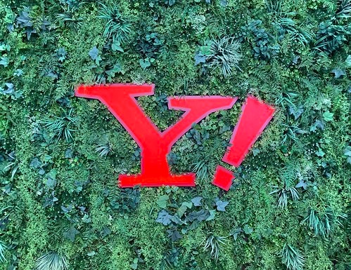 Yahoo！ショッピングの価格･品揃え