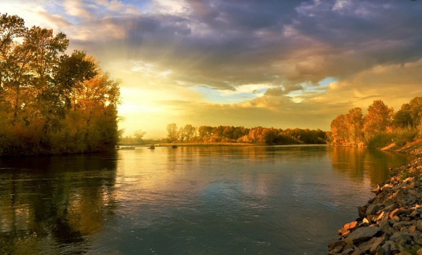 ロレックスのサンダーバードは不思議な魅力を持つ時計