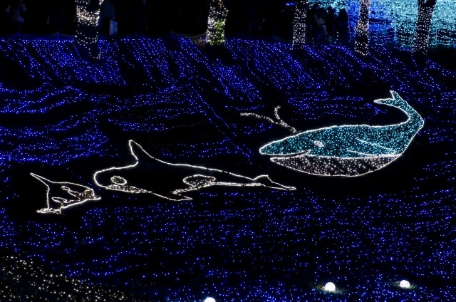 G-SHOCKのイルクジ 25周年モデル3つの特徴