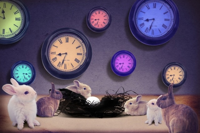 甲府市の時計販売店 比較一覧表