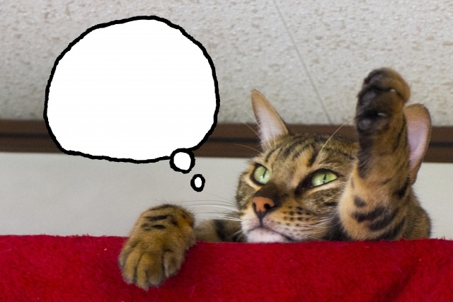 ブラック オプス 8880シリーズ Ref.8881の口コミ