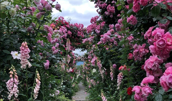 神戸市東灘区の電池交換・時計修理店 比較一覧表