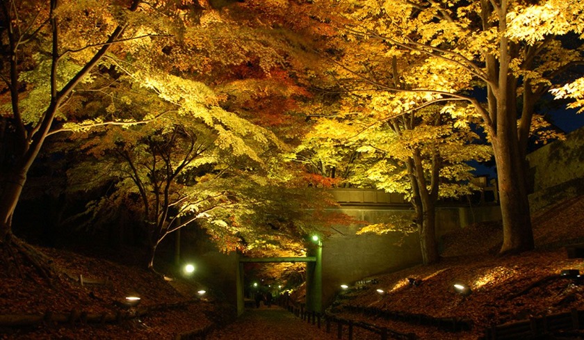 上田城紅葉まつり