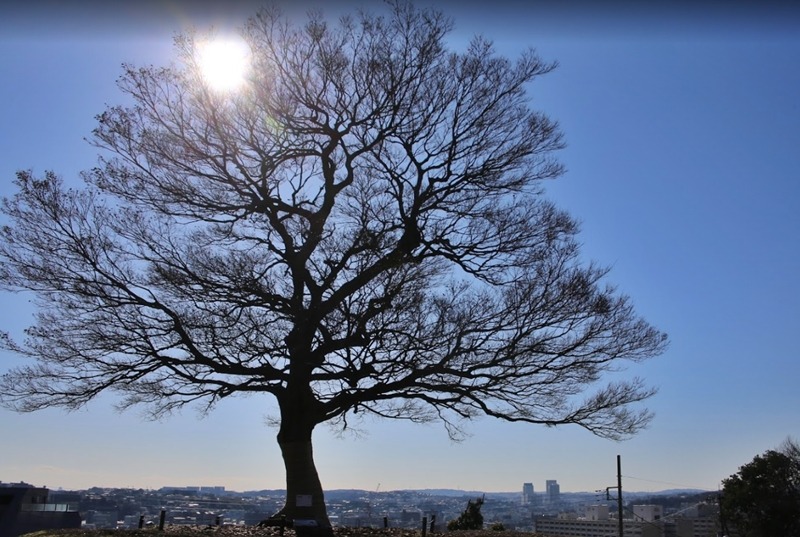 横浜市南区の時計買取店2選