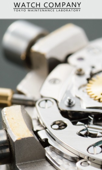 WATCH COMPANY