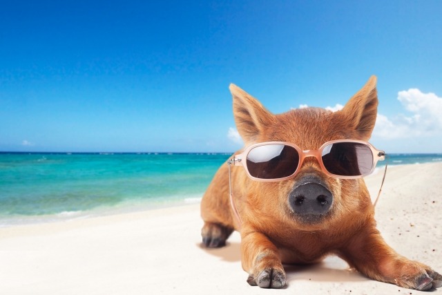 ソーラーコンビネーション