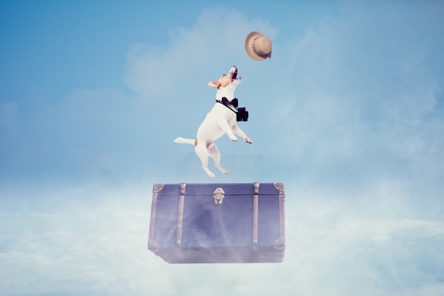 DW-6900(G-SHOCK)は新品も中古もコスパ良く人気