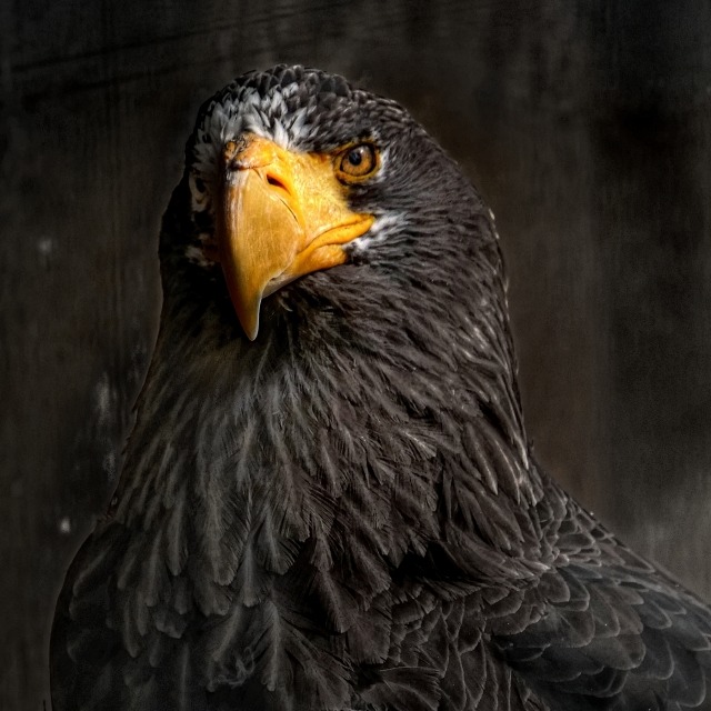 H77765541の商品情報