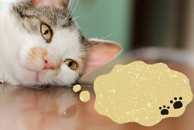 DIESEL FULL GUARD 2.5の口コミ