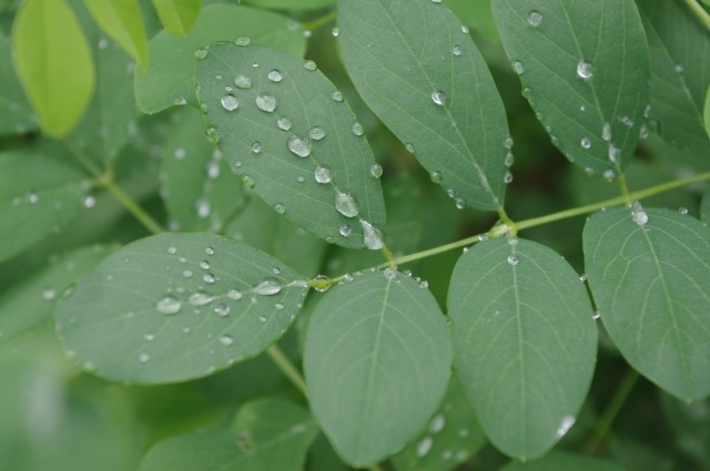 スポーツ向けスマートウォッチの選び方②防水性