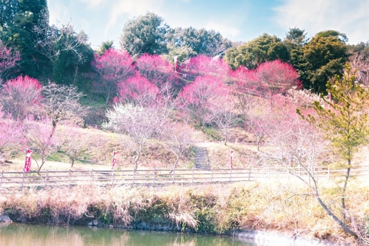 洲本市の電池交換・時計修理店3選