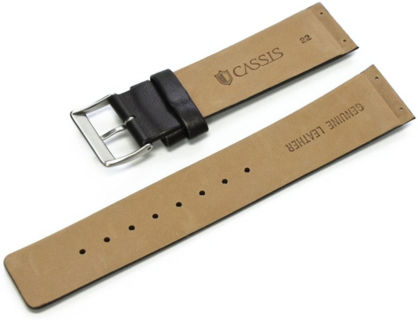 スカーゲンの時計ベルト/バンドを交換：CASSIS