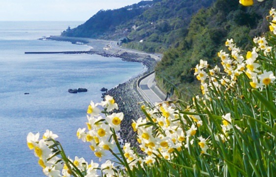 南あわじ市周辺の時計店 比較一覧表