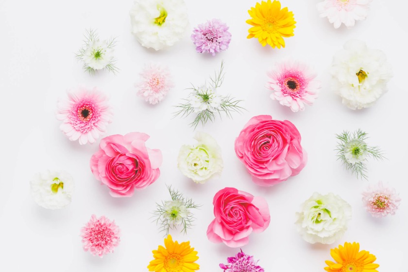 14502811の特徴・機能