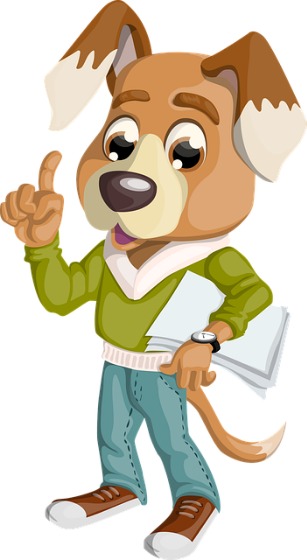 ヴェンペのおすすめポイント